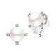 1PEB1281     PENDIENTES ORO BLANCO