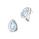 1PPL313      PENDIENTES PLATA RODIADA